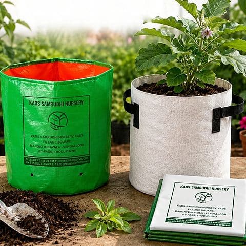 A green grow bag beside a white fabric grow bag planted with a brinjal seedling, with folded spare bags alongside