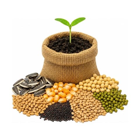 A hessian sack of vegetable seeds with a seedling sprouting from the top